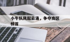 小牛队风起云涌，争夺南区榜首的简单介绍